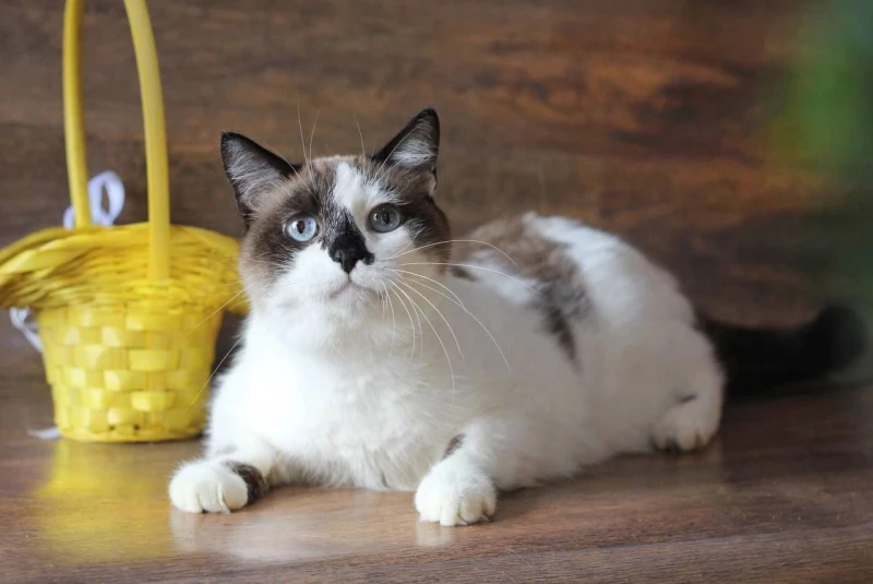 Империя. Приют «Бусинка»