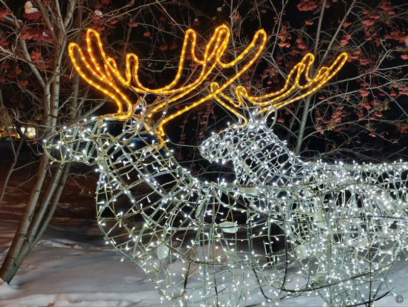 Новогодний Барнаул.  Пресс-служба мэрии Барнаула