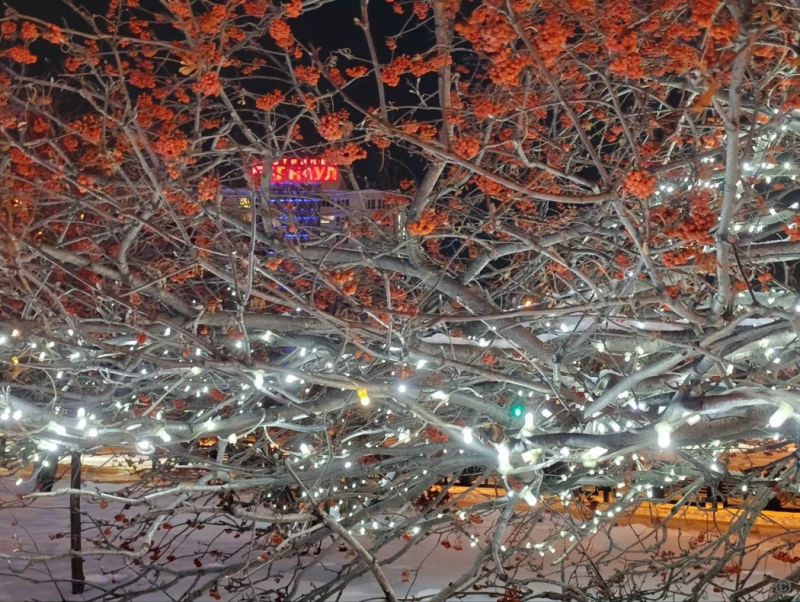 Новогодний Барнаул.  Пресс-служба мэрии Барнаула