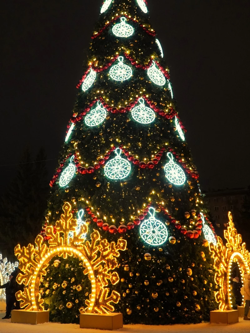 Новогодний Новосибирск.  Туристско-информационный центр Новосибирской области