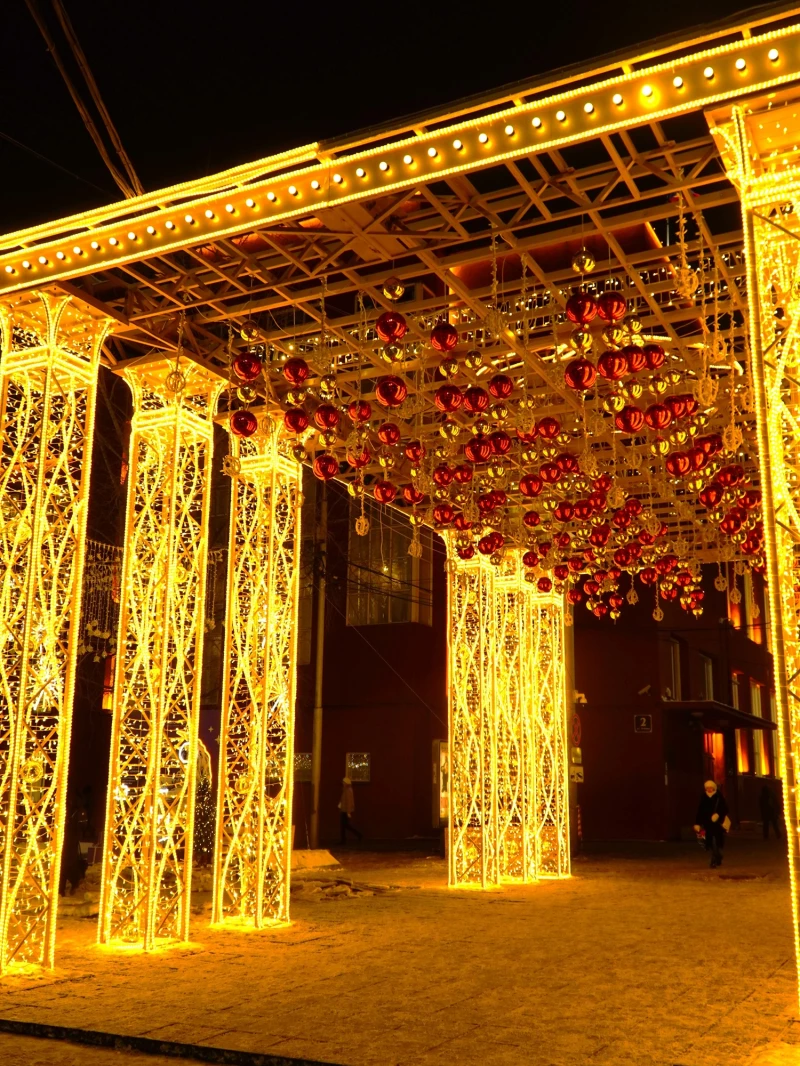 Новогодний Новосибирск.  Туристско-информационный центр Новосибирской области