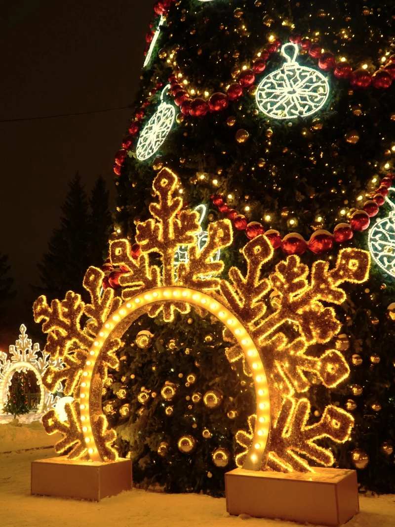 Новогодний Новосибирск.  Туристско-информационный центр Новосибирской области