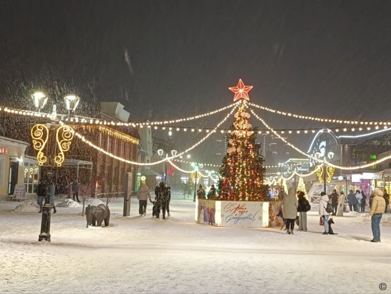 Центральный район Барнаула в шаге от Нового года. Администрация Барнаула