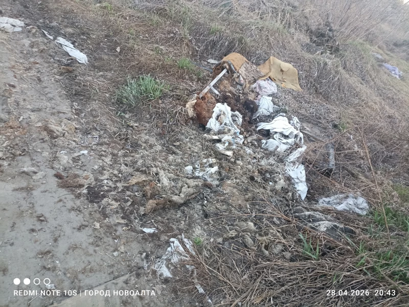 Свалка с останками. ВК группа Новоалтайское Городское Казачье Общество