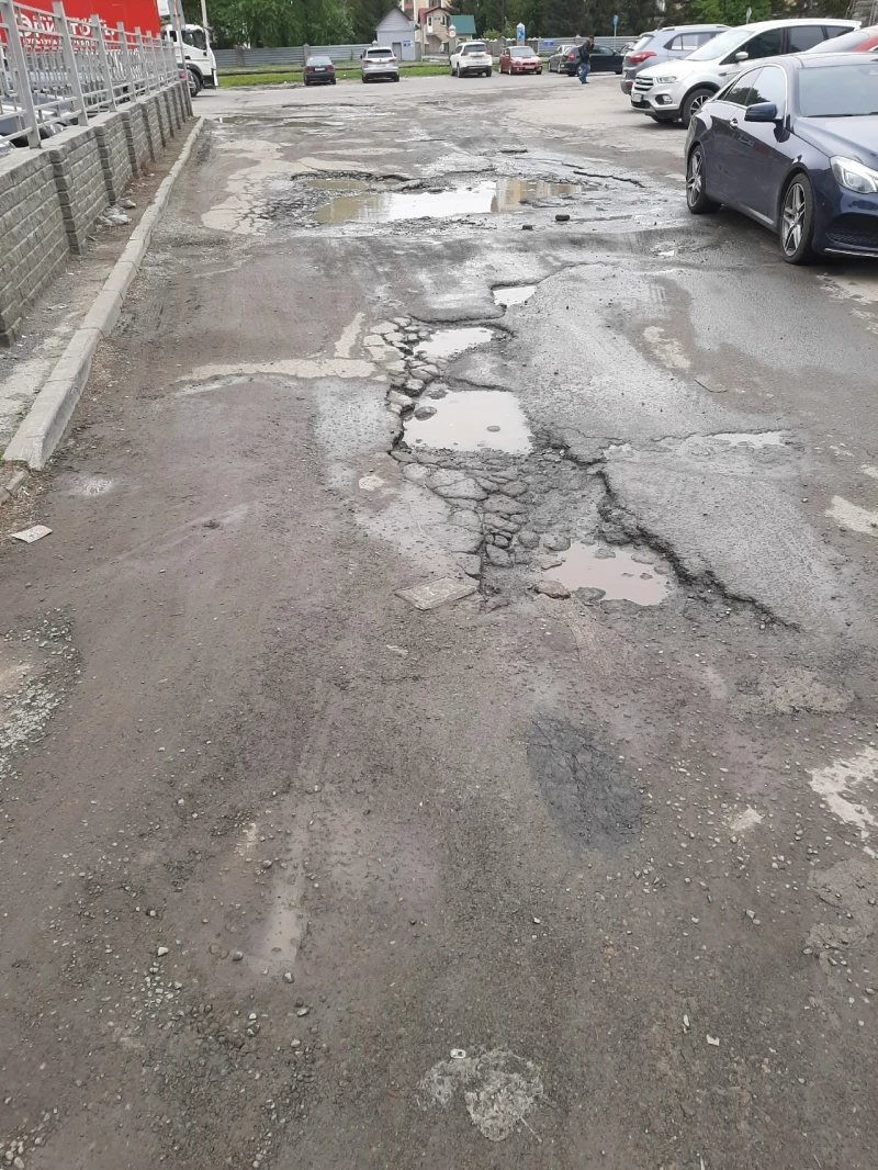 Начало дороги к барнаульской Рублевке. Лариса Васильева