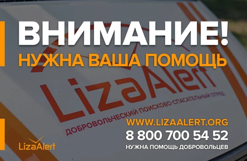 Поиски 19-летнего парня в районе поселка Бельмесево.  Поисковый отряд «ЛизаАлерт» Алтайского края